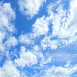 Meet your Posher, Nacy